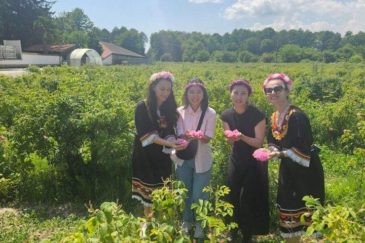 Excursion d'une journée à Rose Valley pendant la fête de la rose