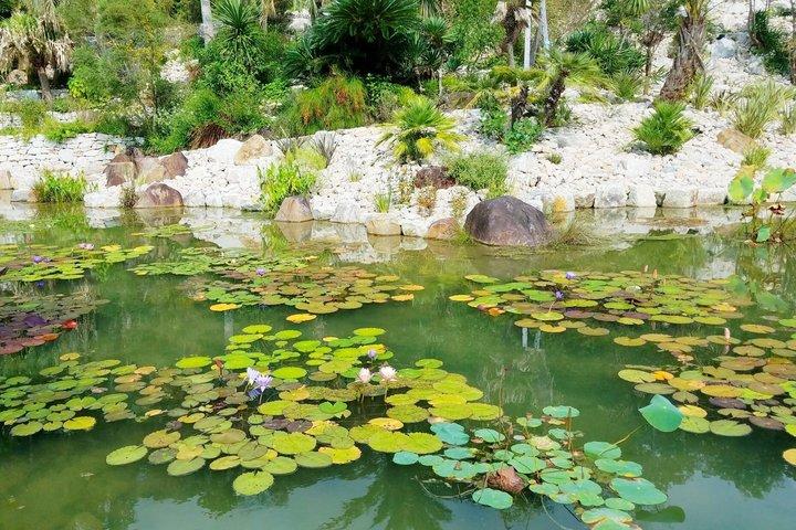 Kochi Monets Gartentour Marmottanan Makino Botanischer Garten