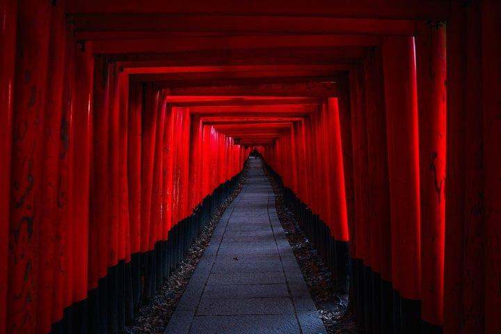 Hoogtepunten Kyoto & Nara: Privé Alphard Tour met Gids & Chauffeur