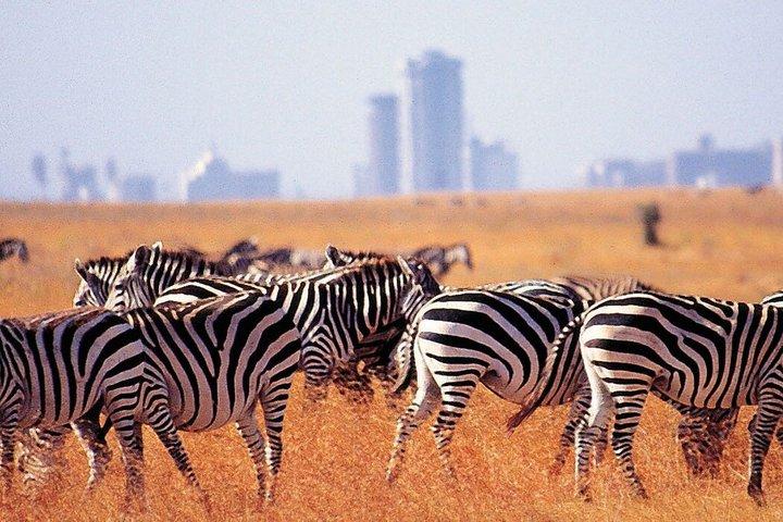Nairobi Nationalpark, Karen Blixen, Beads Center und Bomas