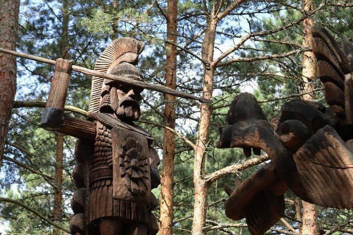 Tour en grupo para pasajeros de cruceros : Curonian Spit & Klaipeda