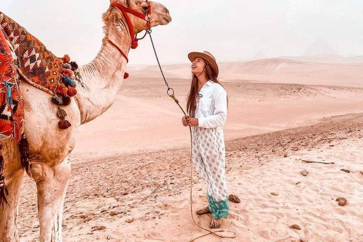 Private Layover Tour: Pyramiderne i Giza og det store egyptiske museum