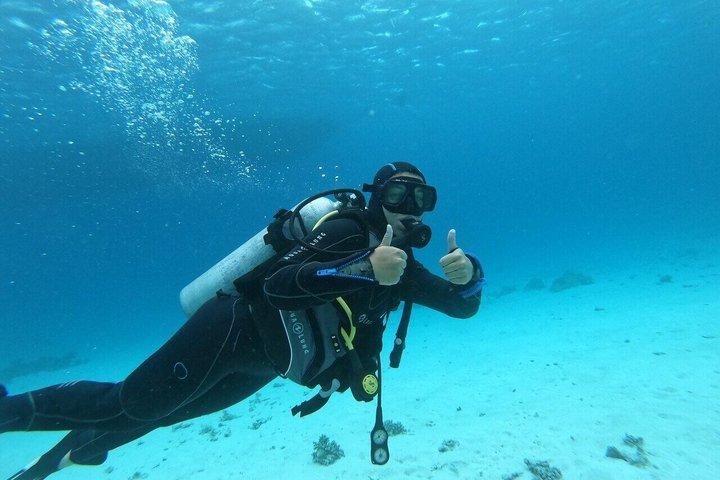 3 - Dag PADI Open Water Dive Course & Bådudflugter / Hurghada