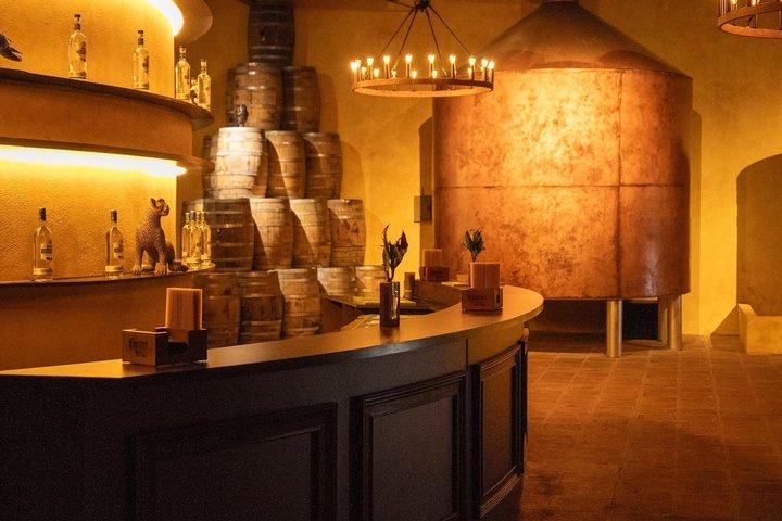 Immersive Agave Experience at Tequila Town Miami