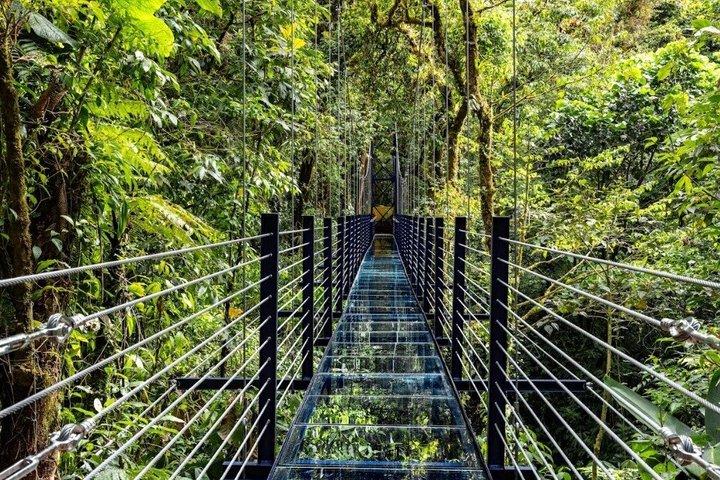 Glass Bridges Walk on Hanging Bridges in Monteverde
