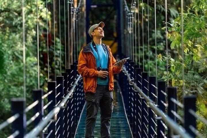 Glass Bridges Walk on Hanging Bridges in Monteverde