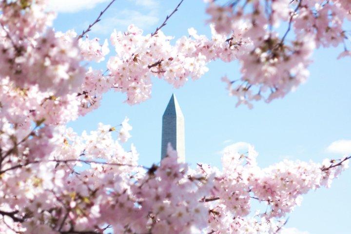 DC: No Wait Washington Monument Direct Entry & Guidebook
