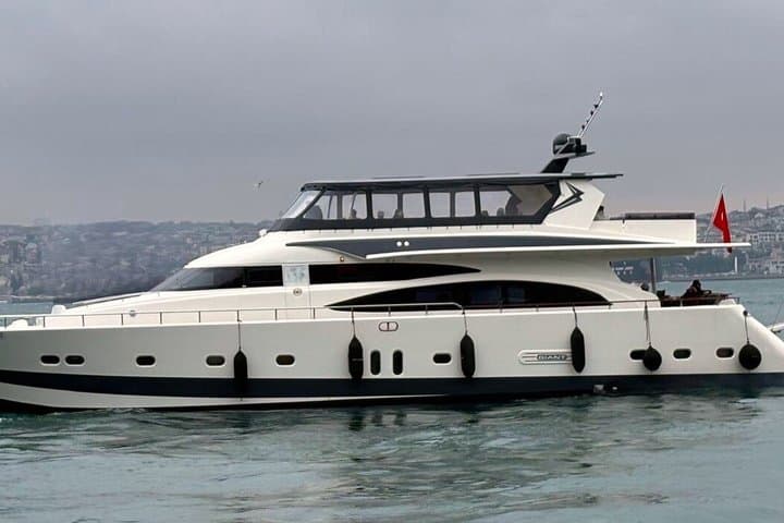 Bosphorus Luxury Lunch Cruise & Black Sea Swimming Experience