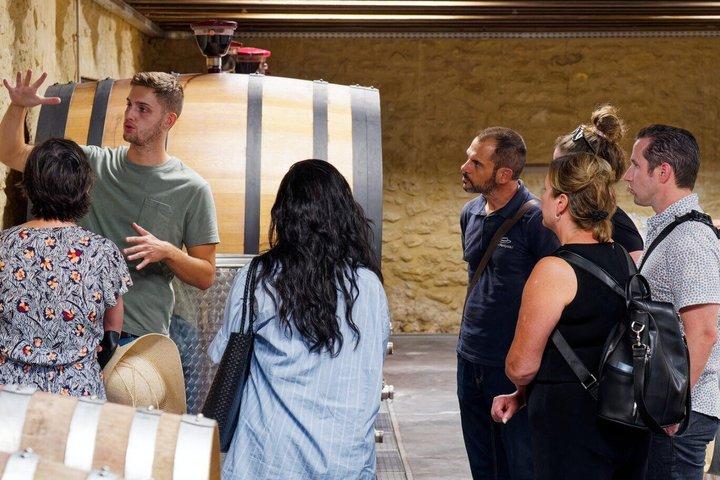 Marseille Highlights & Weinprobe Tagestour ab Marseille