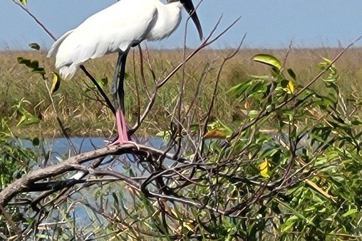 Airboat Tours Florida Everglades mit Kapitän Wayne