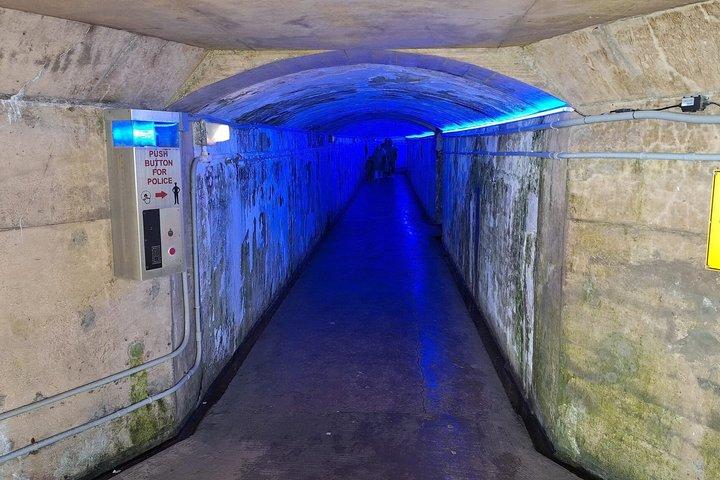 Tour a piedi del Niagara oltre le cascate e crociera stagionale
