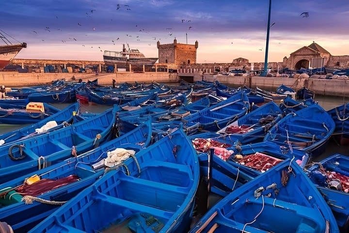 Excursion Marrakech → Essaouira (Mogador) with Expert Guide