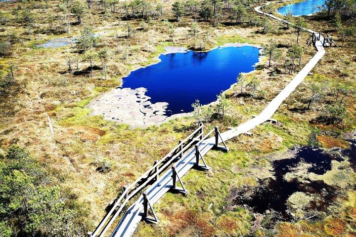 Kemeri National Park Bog Walking trail with Jurmala private tour