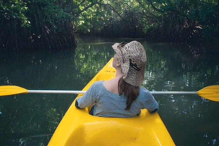 Lagoon Kayaking Tour de Negombo