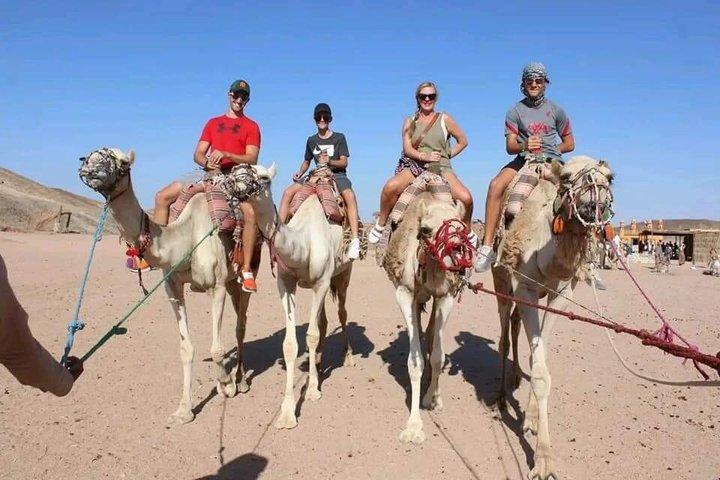 ATV Quad Safari Adventure & Camel Ride & Transfers / Hurghada