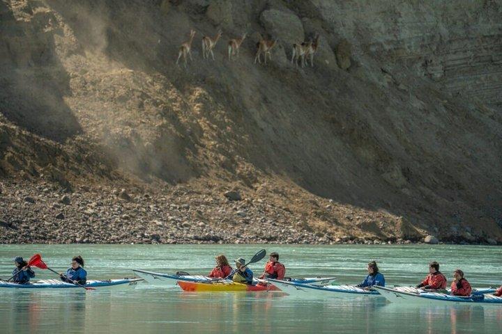 CALAFATE : Tour en kayak por el río Santa Cruz : Siguiendo la ruta de Darwin