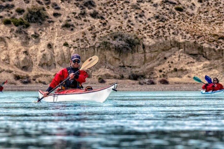 CALAFATE : Tour en kayak por el río Santa Cruz : Siguiendo la ruta de Darwin