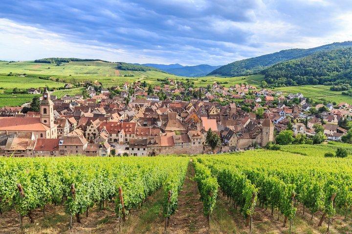 Alsace Villages & Winery : Halvdags privat strandtur från Colmar