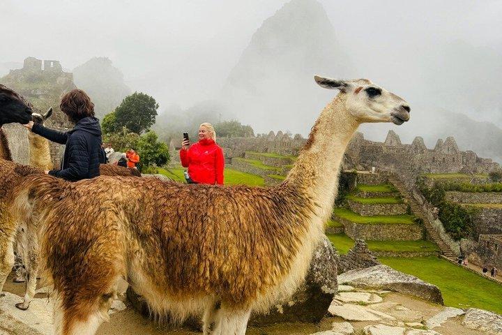 Guide til Machu Picchu Circuit 2
