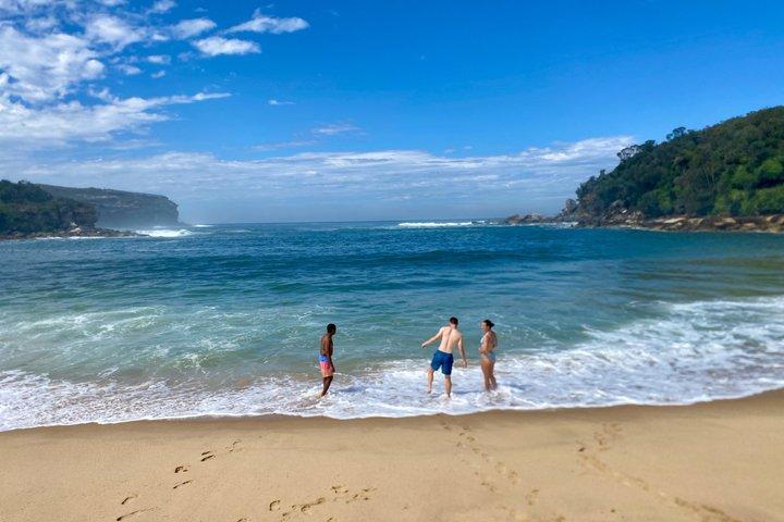 Sydney: Royal National Park Coast & Rainforest, Koalas & Lunch