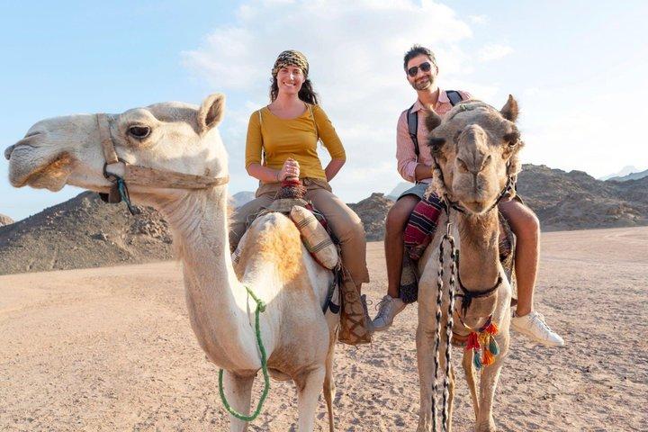 Super Safari ATV Quad, Buggy, Jeep, Jantar & Camel Ride - Hurghada
