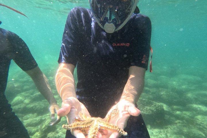 Lisboa: Excursión en kayak y snorkel en la playa salvaje de Arrábida (opción de recogida)
