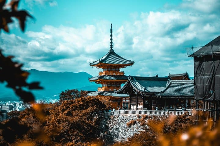 Kyoto Private Morning Tour: Fushimi Inari & teamLab Biovortex