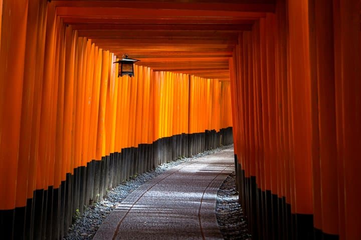 Kyoto Private Morning Tour: Fushimi Inari & teamLab Biovortex