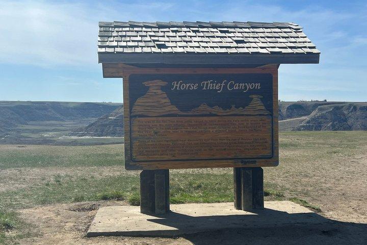 Scenic Drumheller & Royal Tyrrell Museum Tour from Calgary