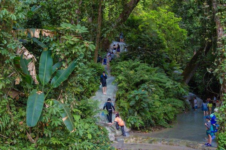 Bua Tong Sticky Waterfall & Dantewada Café avec transfert d'hôtel