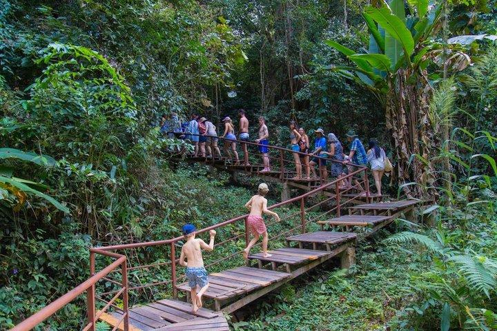 Bua Tong Sticky Waterfall & Dantewada Café avec transfert d'hôtel