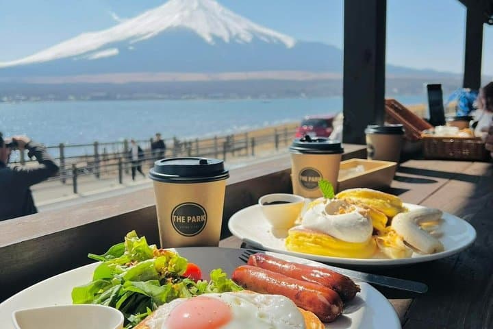 Mt. Fuji & Hakone Private Day Tour with English-Speaking Driver