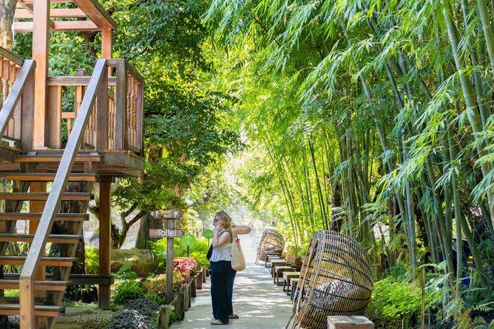 Half Day Sticky Waterfall Bua Tong and Dantewada Café Chiang Mai