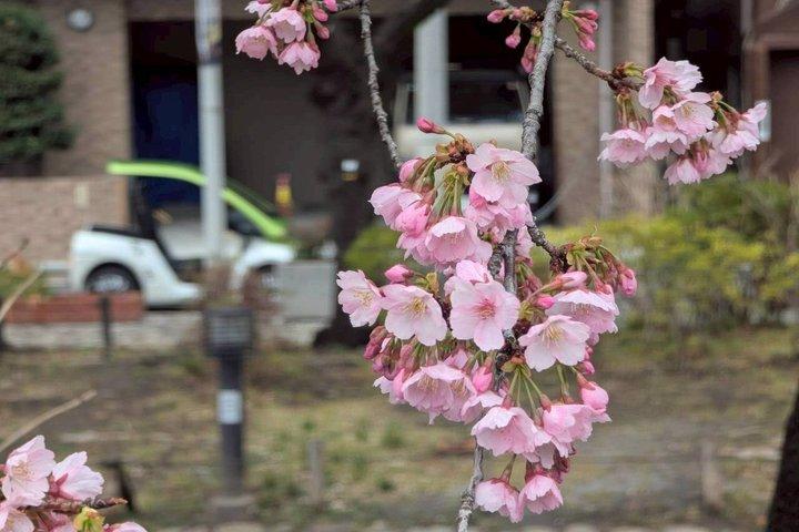 東京渋谷オフィシャル : KIMONO Dressed EV-Go Kartアクティビティアー