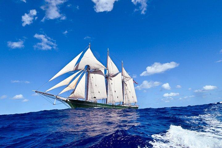 Hamnsegel ombord på Tall Ship Denis Sullivan