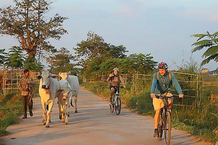 Mekong Island cykeltur och lunch med bönder