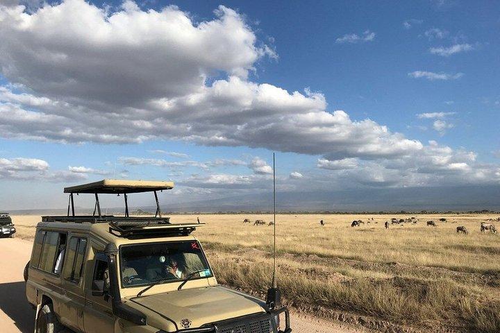 Nairobi : Excursion d'une journée dans le parc national d'Amboseli et le village de Masai