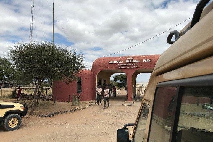 Nairobi : Excursion d'une journée dans le parc national d'Amboseli et le village de Masai