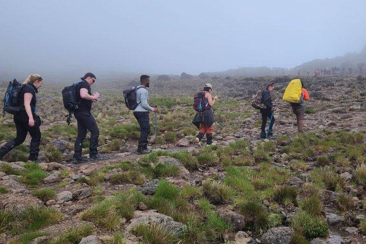 Marangu rutten Kilimanjaro 5 dagars vandring