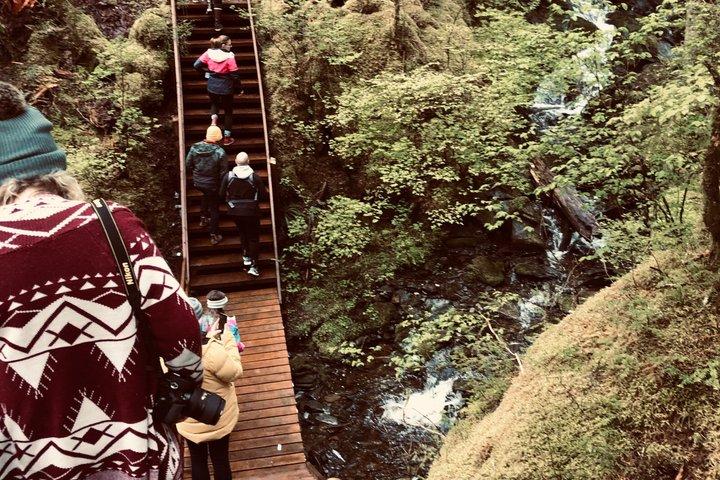 Tour della città di Ketchikan, Totem Heritage Center e Trail Hike Combo