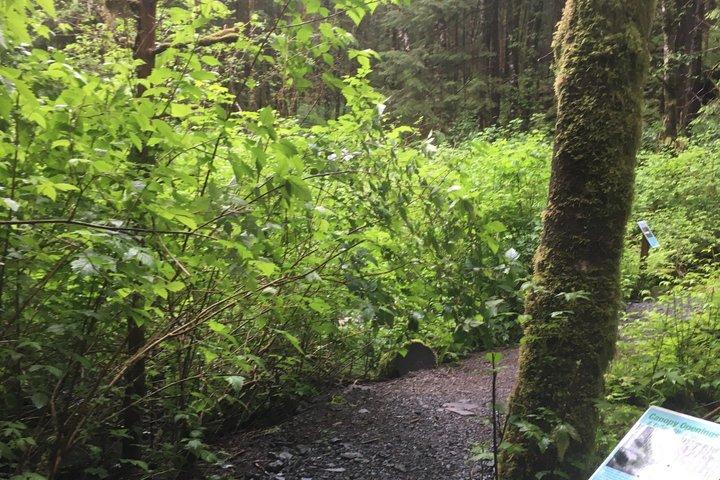 Tour della città di Ketchikan, Totem Heritage Center e Trail Hike Combo