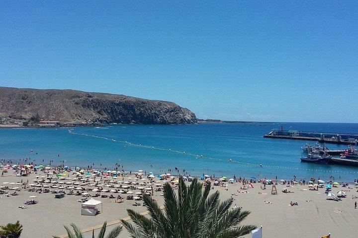 Tenerife sydlige strande tur med guide