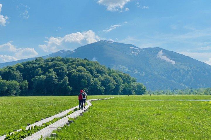 From Tokyo Day Trip Hiking Adventure in Oze National Park