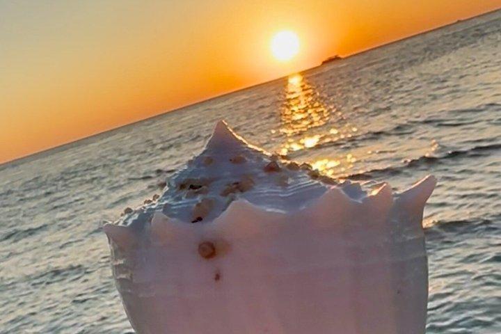 Fabelhafte Florida Sunset Tour mit Delfinen