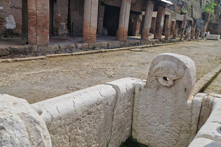 Ercolano Roman Ruines Walking Tour