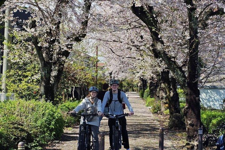 Mount Fuji Scenic EBike Tour for rejsende
