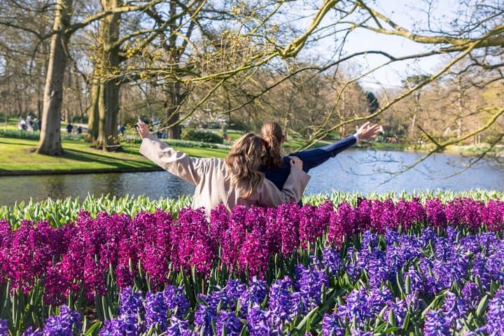 From Amsterdam: Keukenhof Ticket, Transfer & Live Guide Option