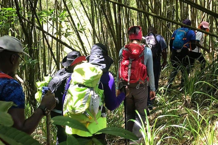 Zipline Adventure through Kereita Forest Trail