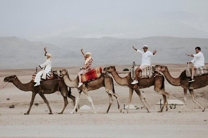 Agafay Desert: Quad & Camel Tour Check-out from Marrakech