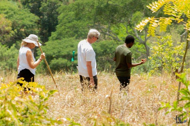 Kilimanjaro Cultural Safari Seks dages privat tur